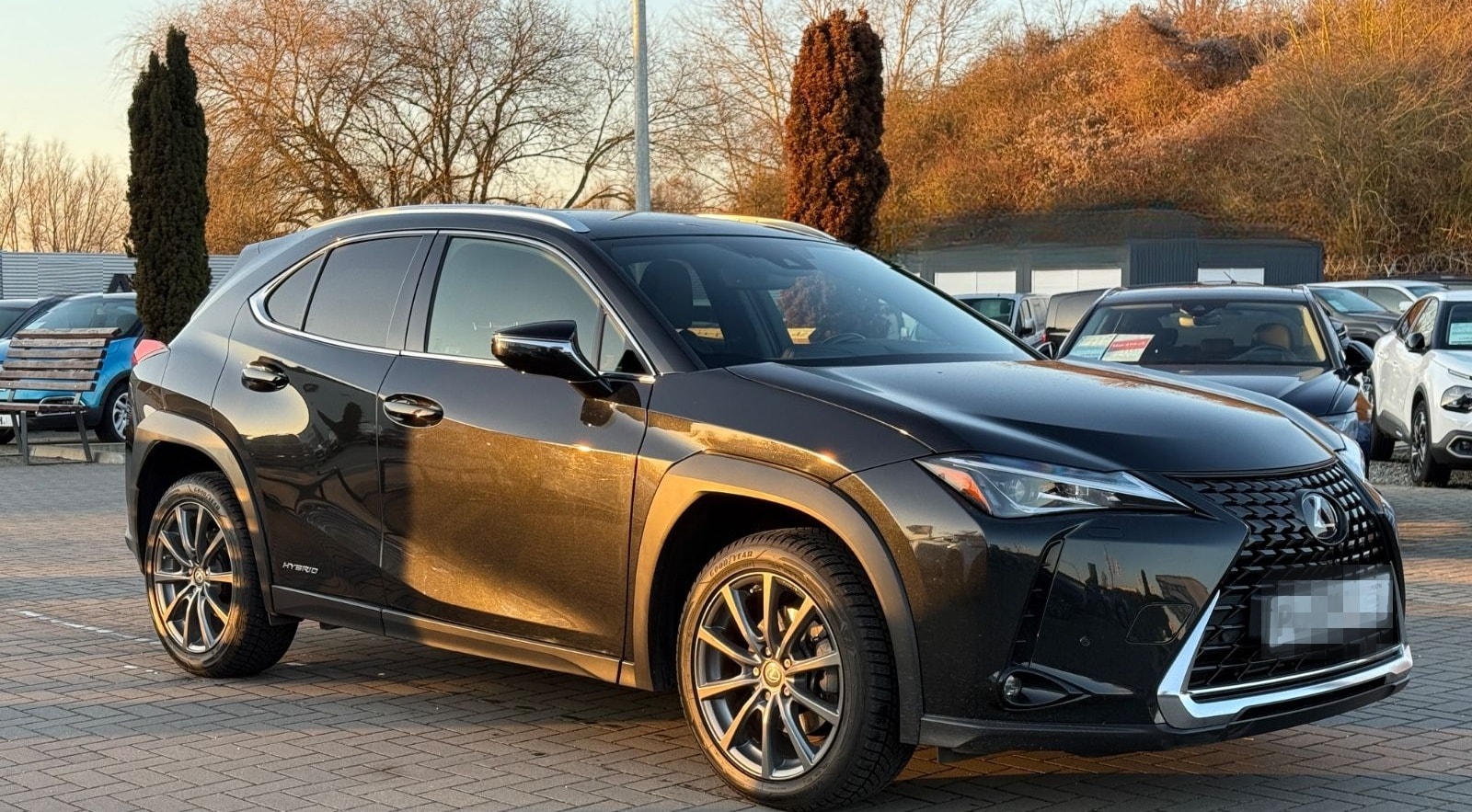 Lexus UX 250 h Launch Edition foto 3