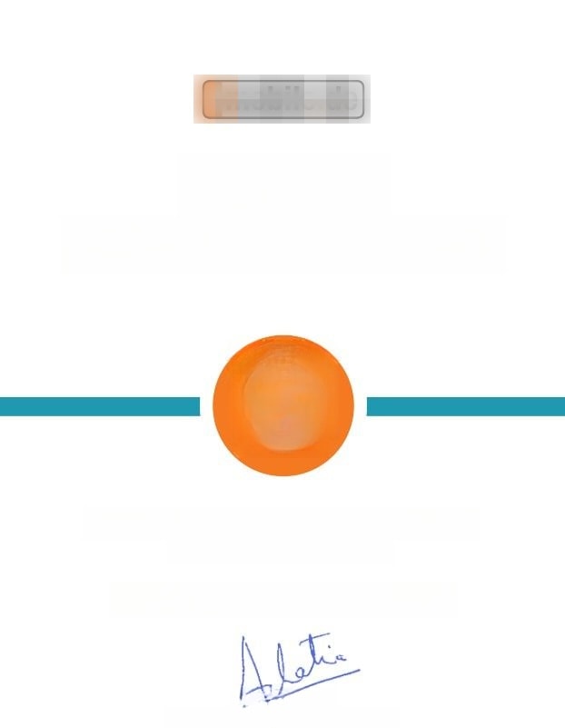 Porsche Panamera Turbo *AMETHYST*CHRONO*BURMESTER*VOLL foto 24