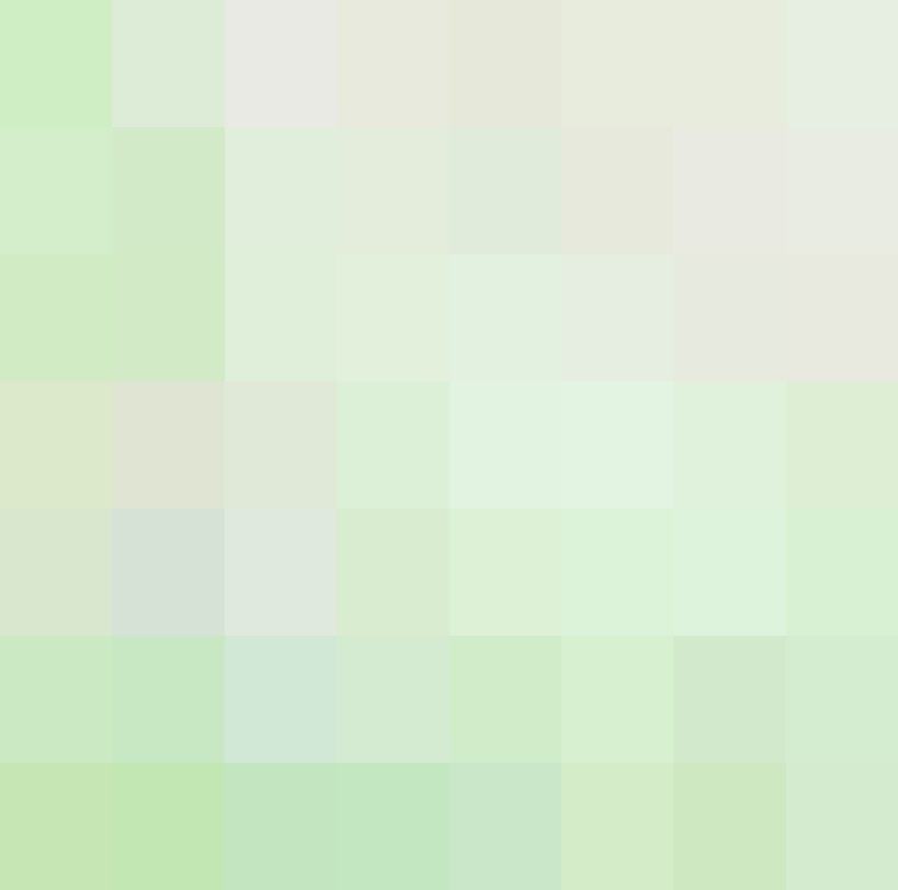 Lexus RC 350 AWD-Leder-Allrad-Bi-Xenon- foto 16