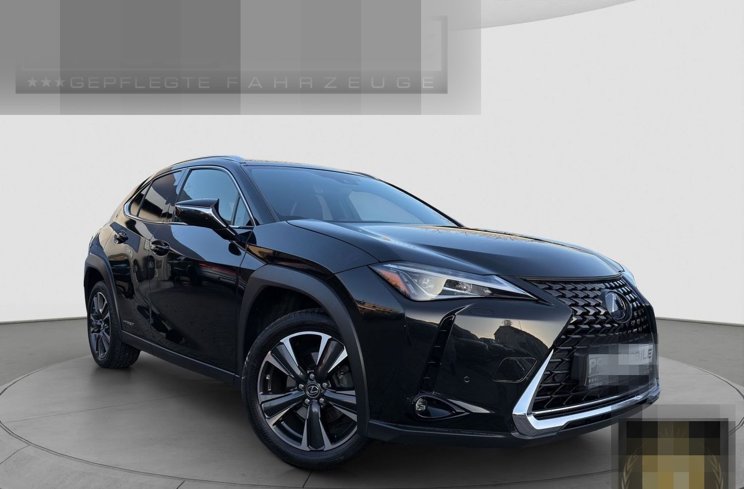 Lexus Andere UX 250 h Navi ACC LED R-Cam PDC v+h foto 1