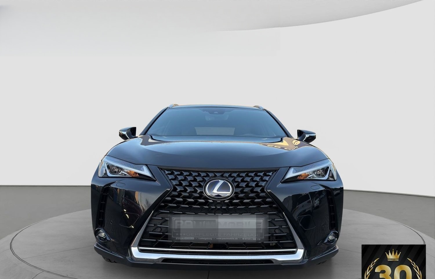 Lexus Andere UX 250 h Navi ACC LED R-Cam PDC v+h foto 2