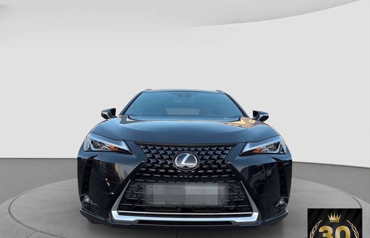 Lexus Andere UX 250 h Navi ACC LED R-Cam PDC v+h foto 2