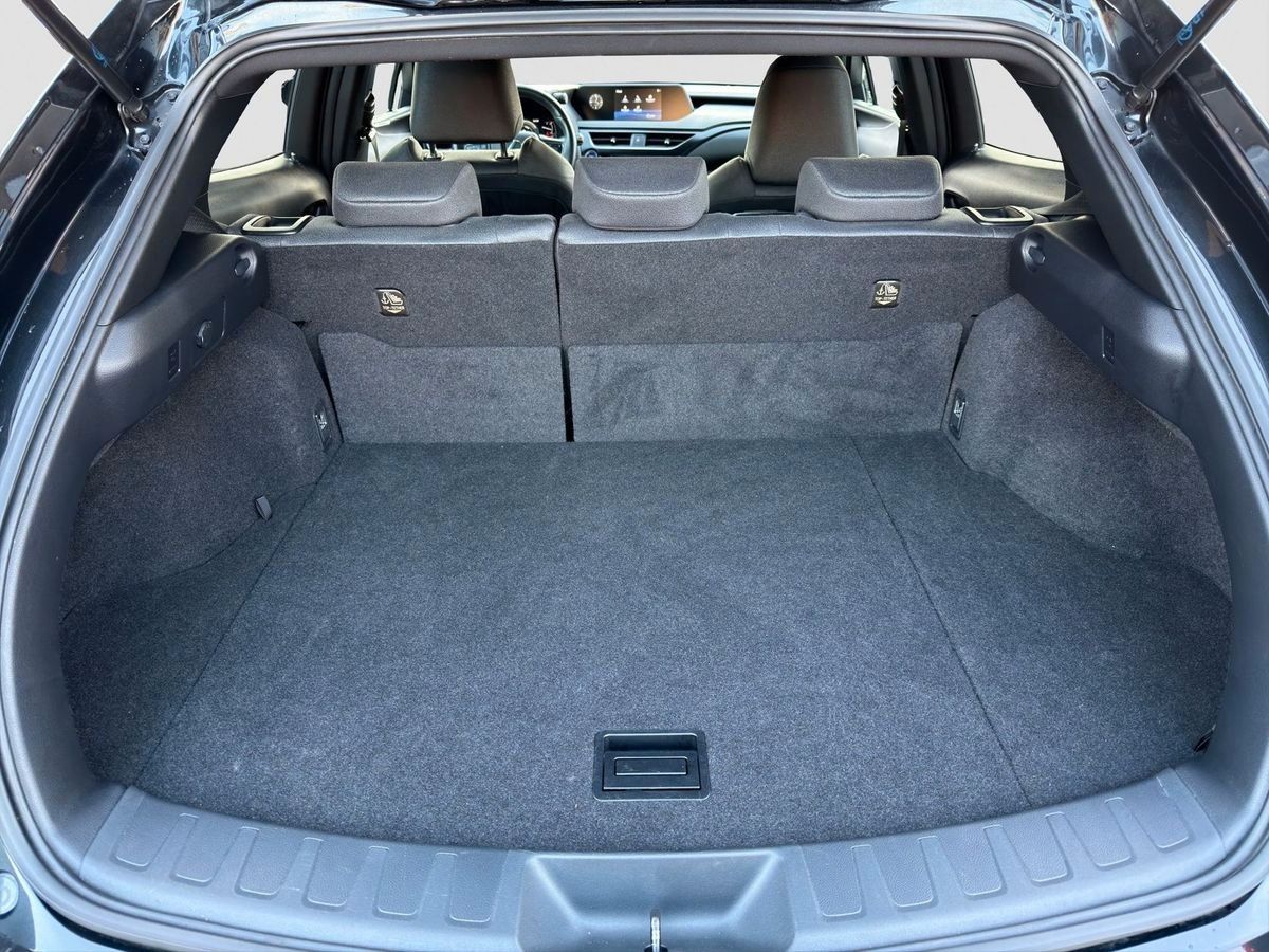 Lexus Andere UX 250 h Navi ACC LED R-Cam PDC v+h foto 14