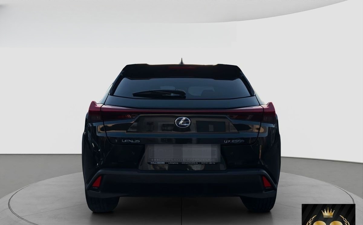 Lexus Andere UX 250 h Navi ACC LED R-Cam PDC v+h foto 5