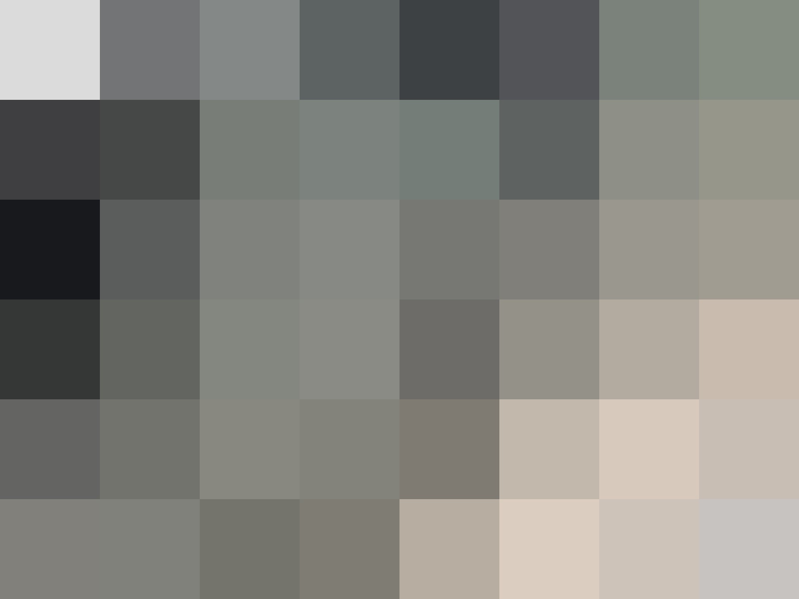 Tesla Model 3 Long Range Dual Motor AWD AHK EAP Pr.Int foto 8