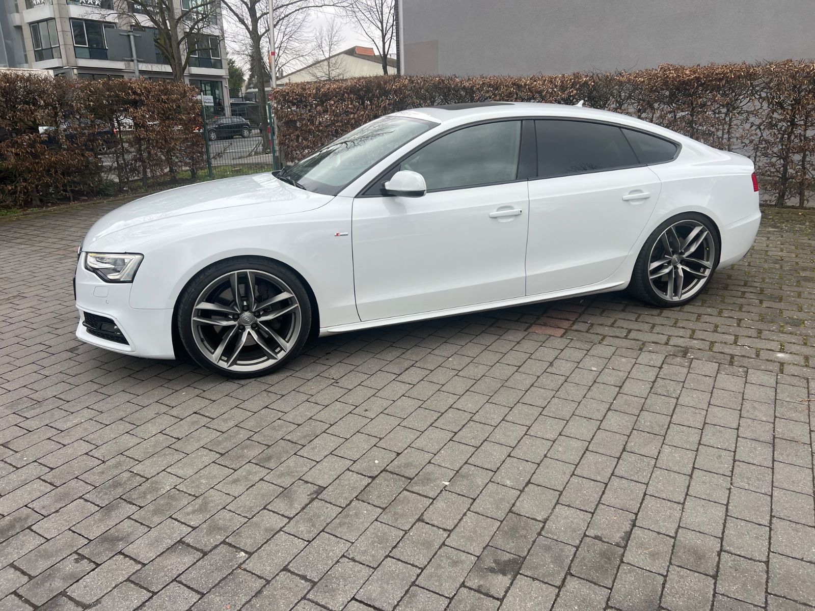Audi A5 Sportback 3.0 TDI~quattro~S-Line~Sport Editio foto 4