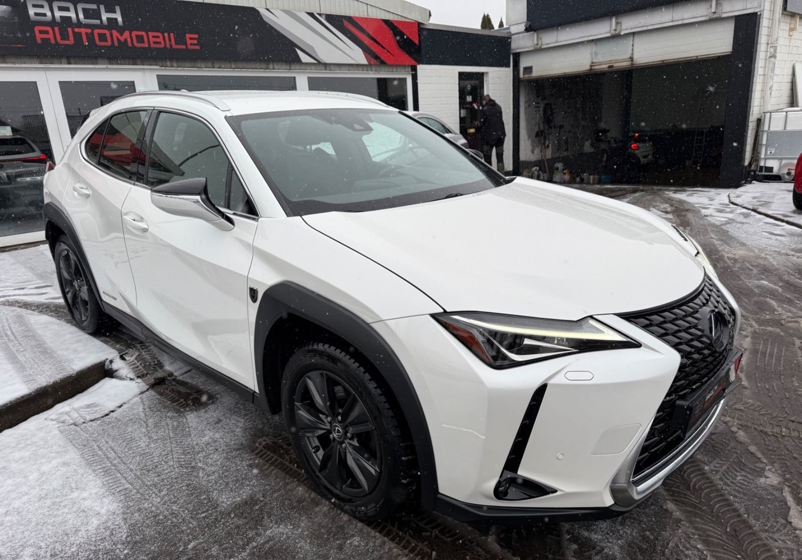 Lexus UX 250 h Alcantara LED foto 1