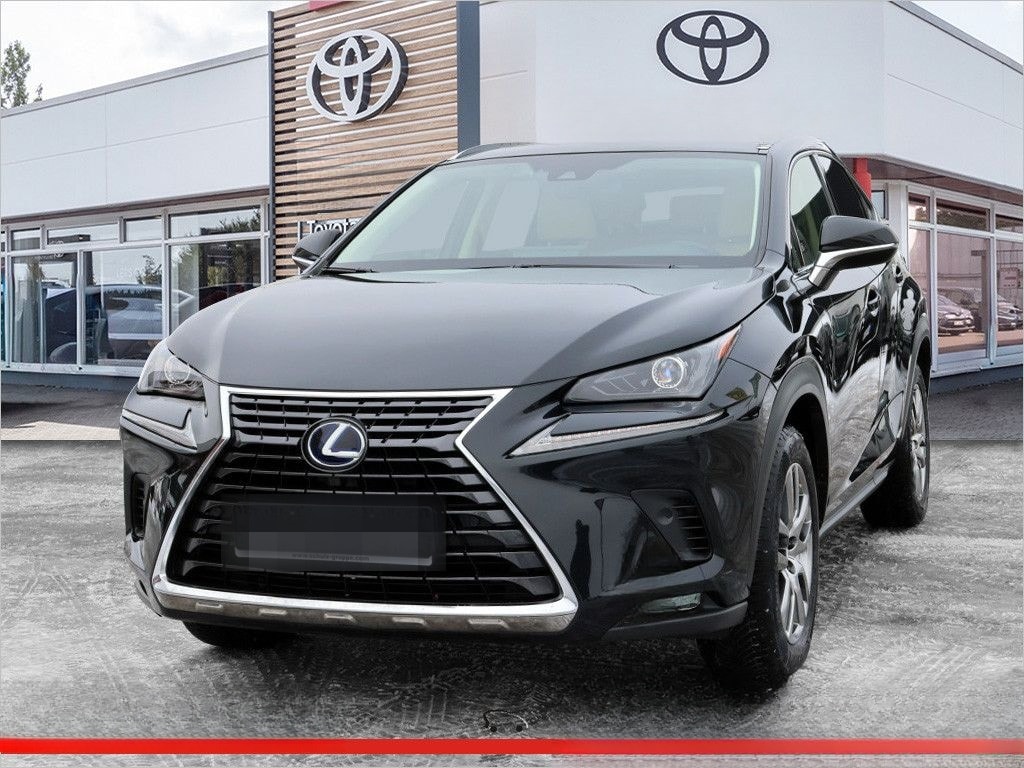 Lexus NX 300 E-Four foto 1