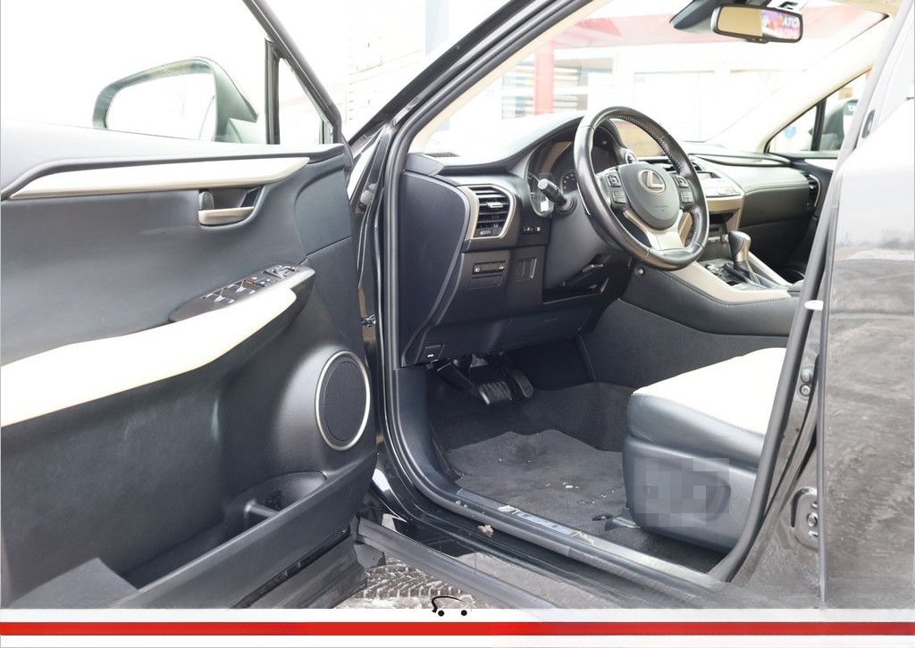 Lexus NX 300 E-Four foto 13