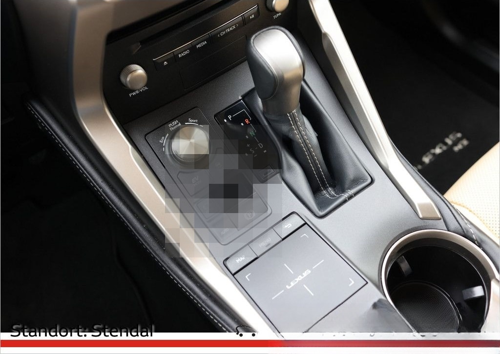 Lexus NX 300 E-Four foto 9