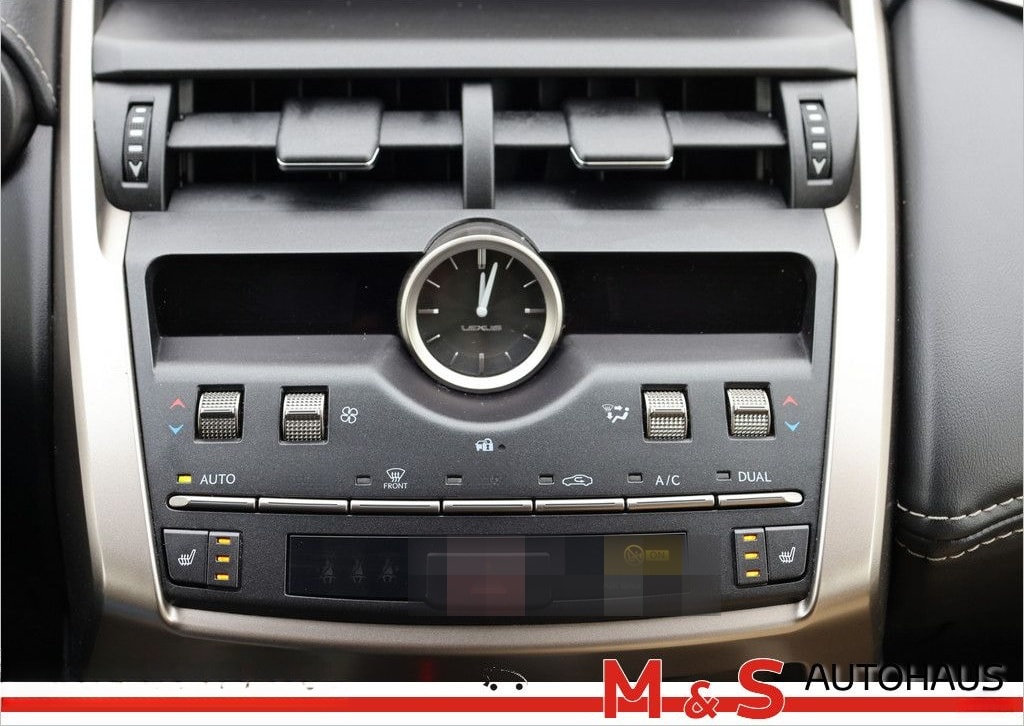 Lexus NX 300 E-Four foto 10