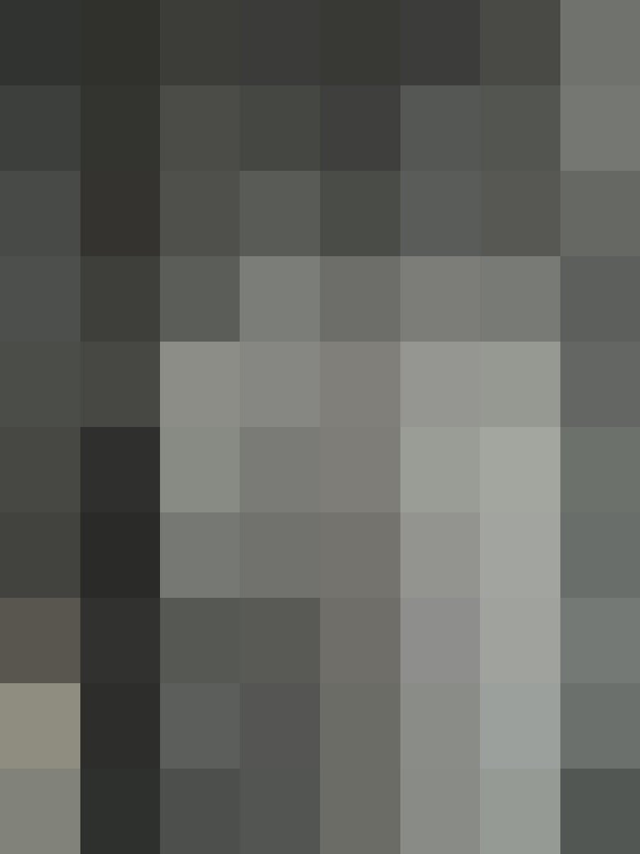 Volkswagen Passat Variant Elegance (Autom., beheizb. Lenkr) foto 14