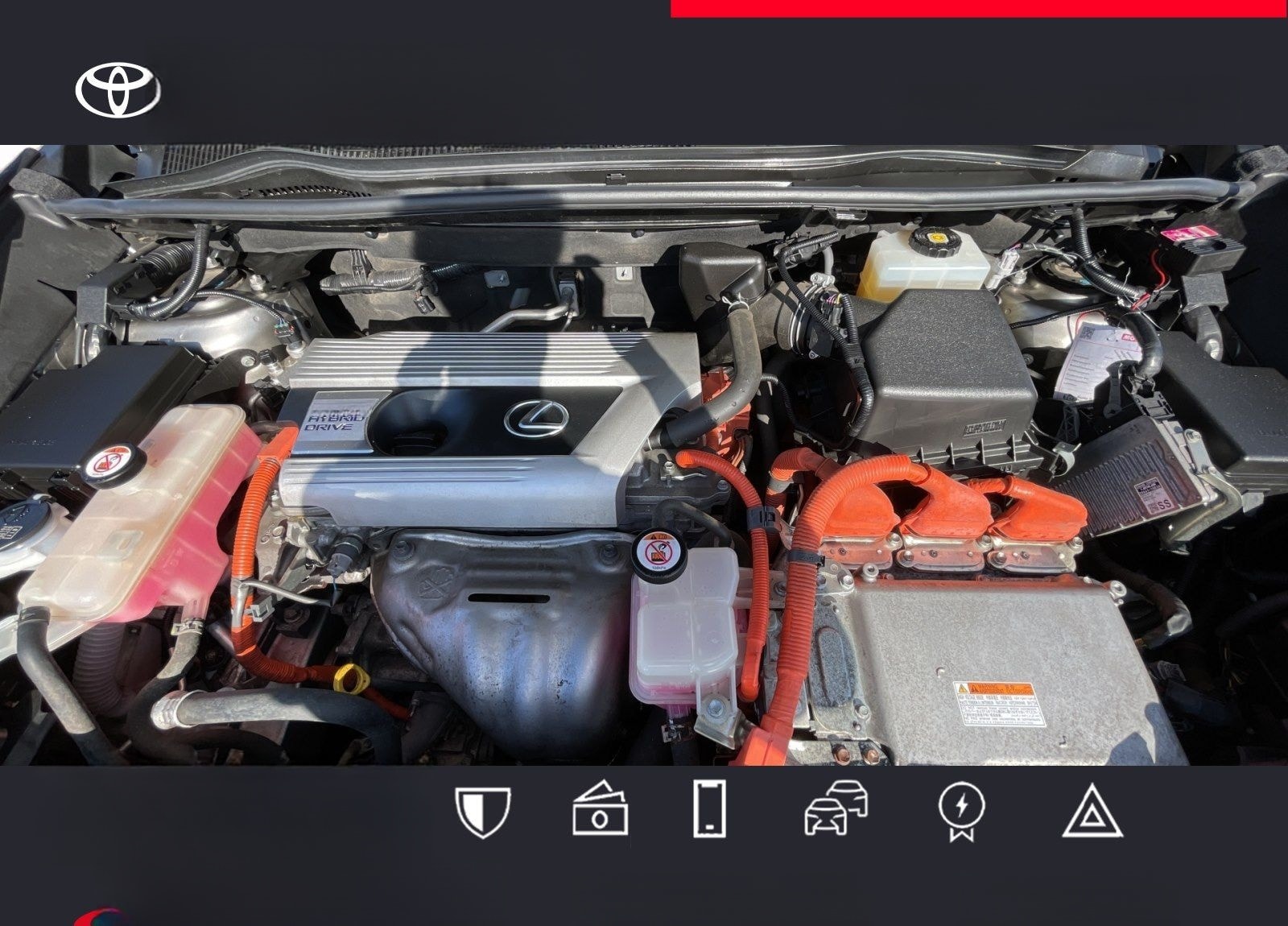 Lexus NX 300h E-Four Executive-Line foto 12