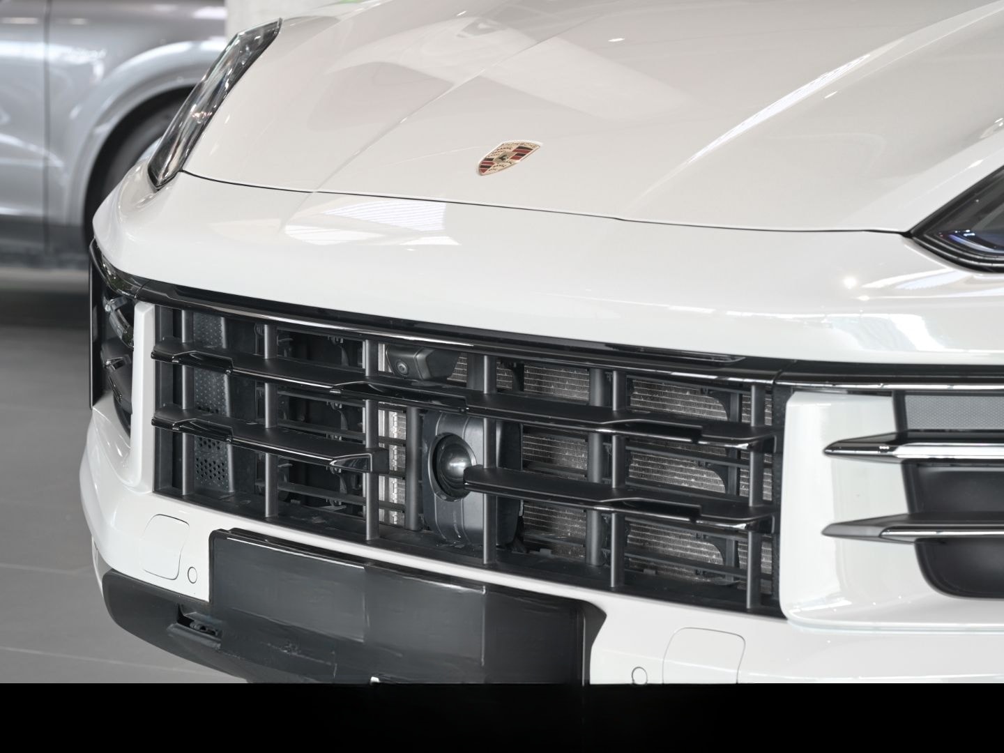 Porsche Cayenne E-Hybrid kreide AHK PANO LUFT Bose Surro foto 7