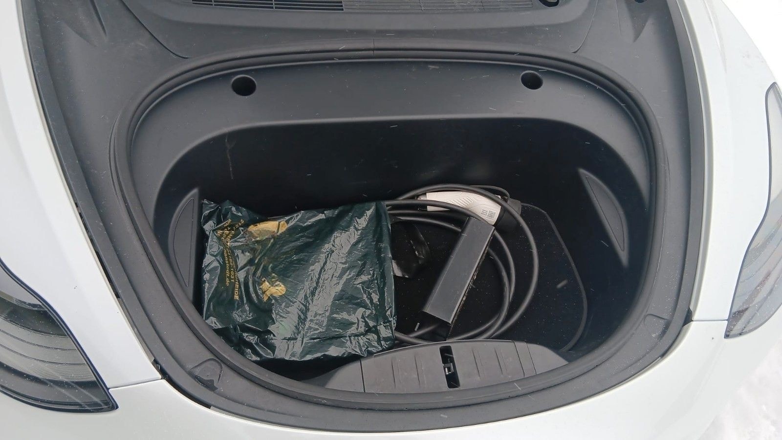 Tesla Model 3 Long Range Dual AWD foto 12