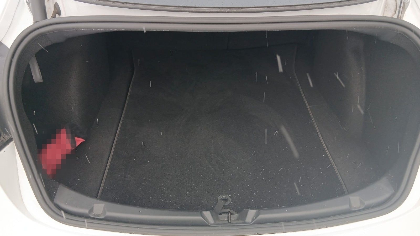 Tesla Model 3 Long Range Dual AWD foto 15