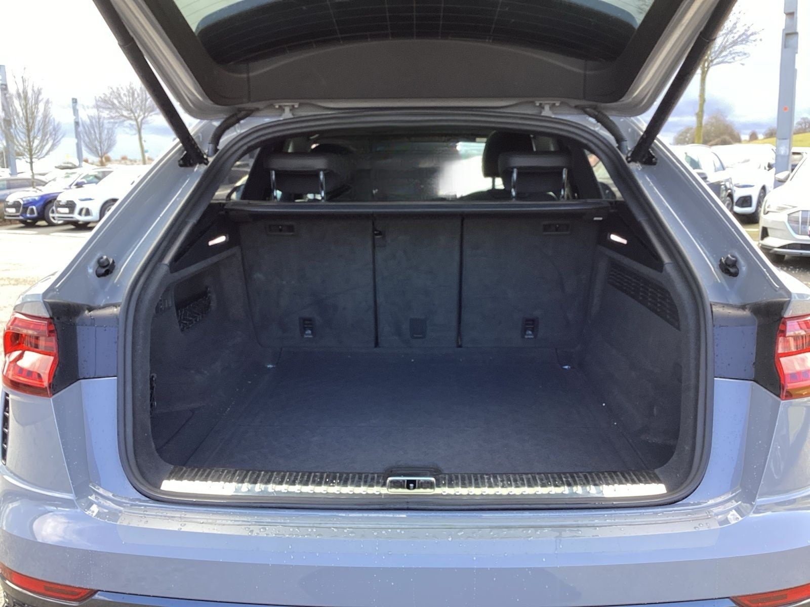 Audi RSQ8 4.0 TFSI q. Tiptr., RS-Sportabgasanlage, He foto 14