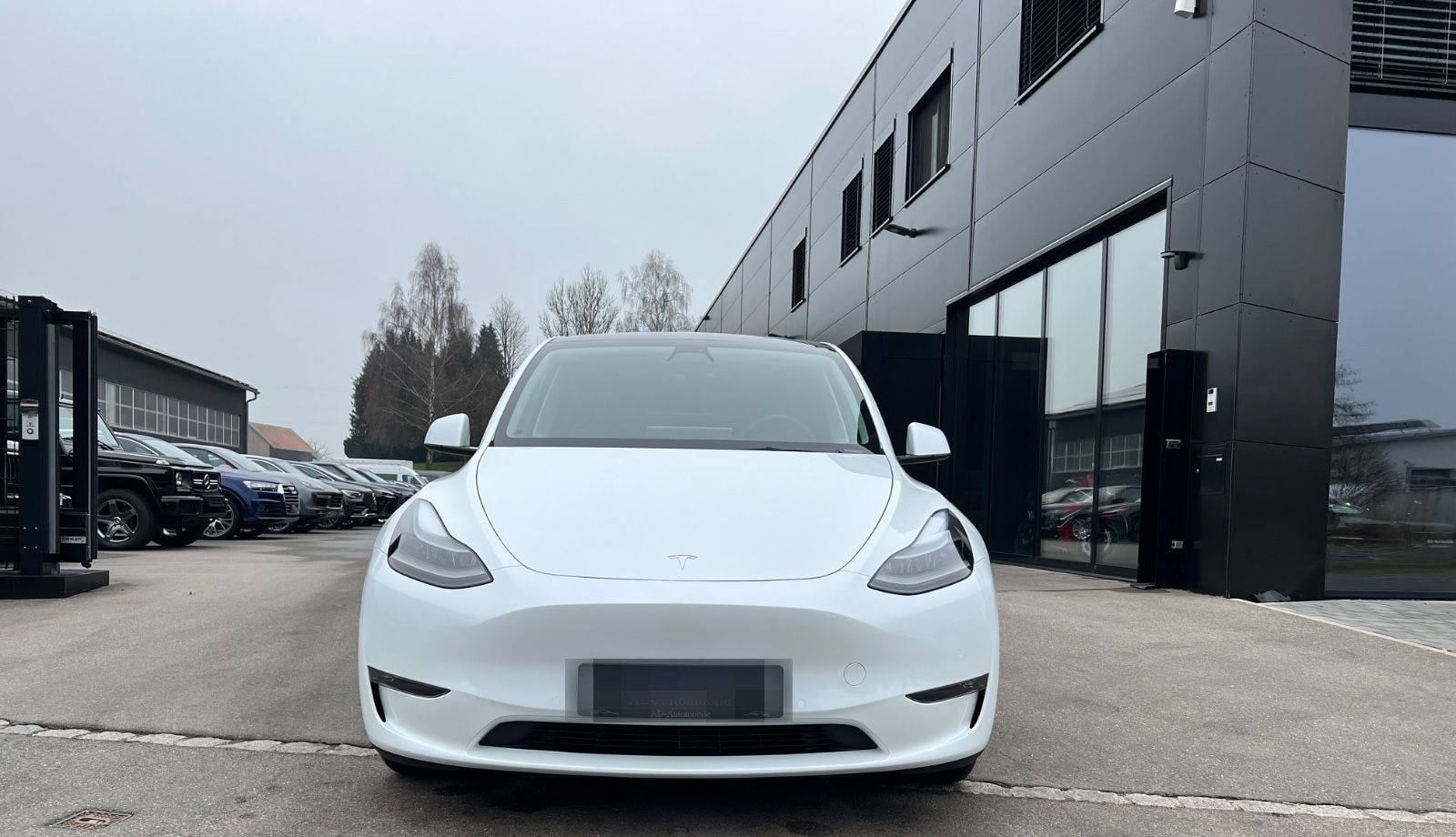 Tesla Model Y Long Range Dual AWD foto 3