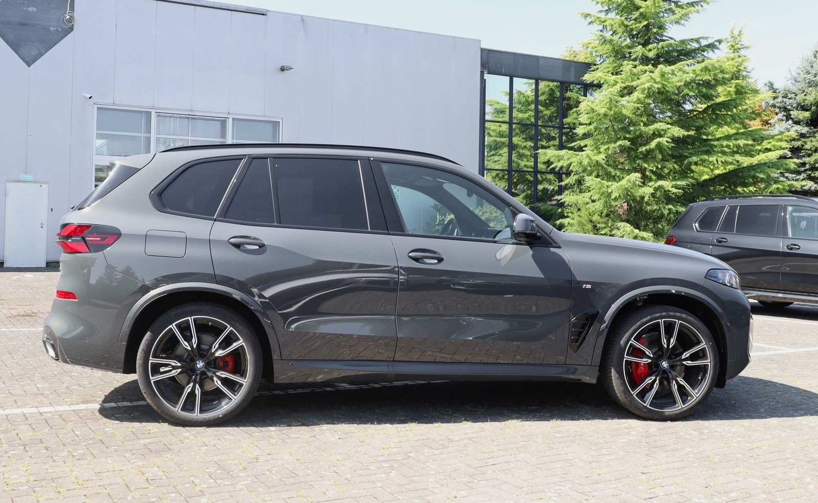 BMW X5 xDrive40d foto 3