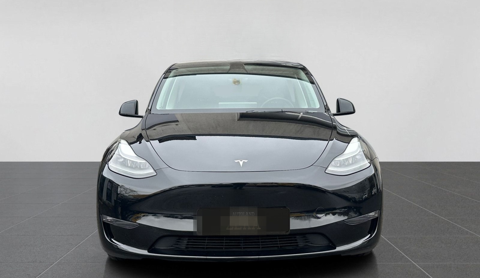 Tesla Model Y Performance DualMotor AWD foto 2