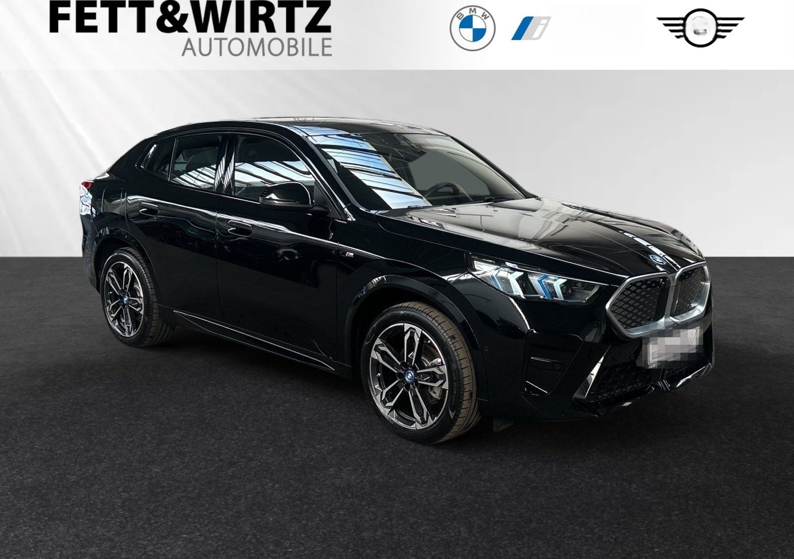 BMW iX2 eDrive20 M Sportpaket|Parkass.|19"LMR foto 1