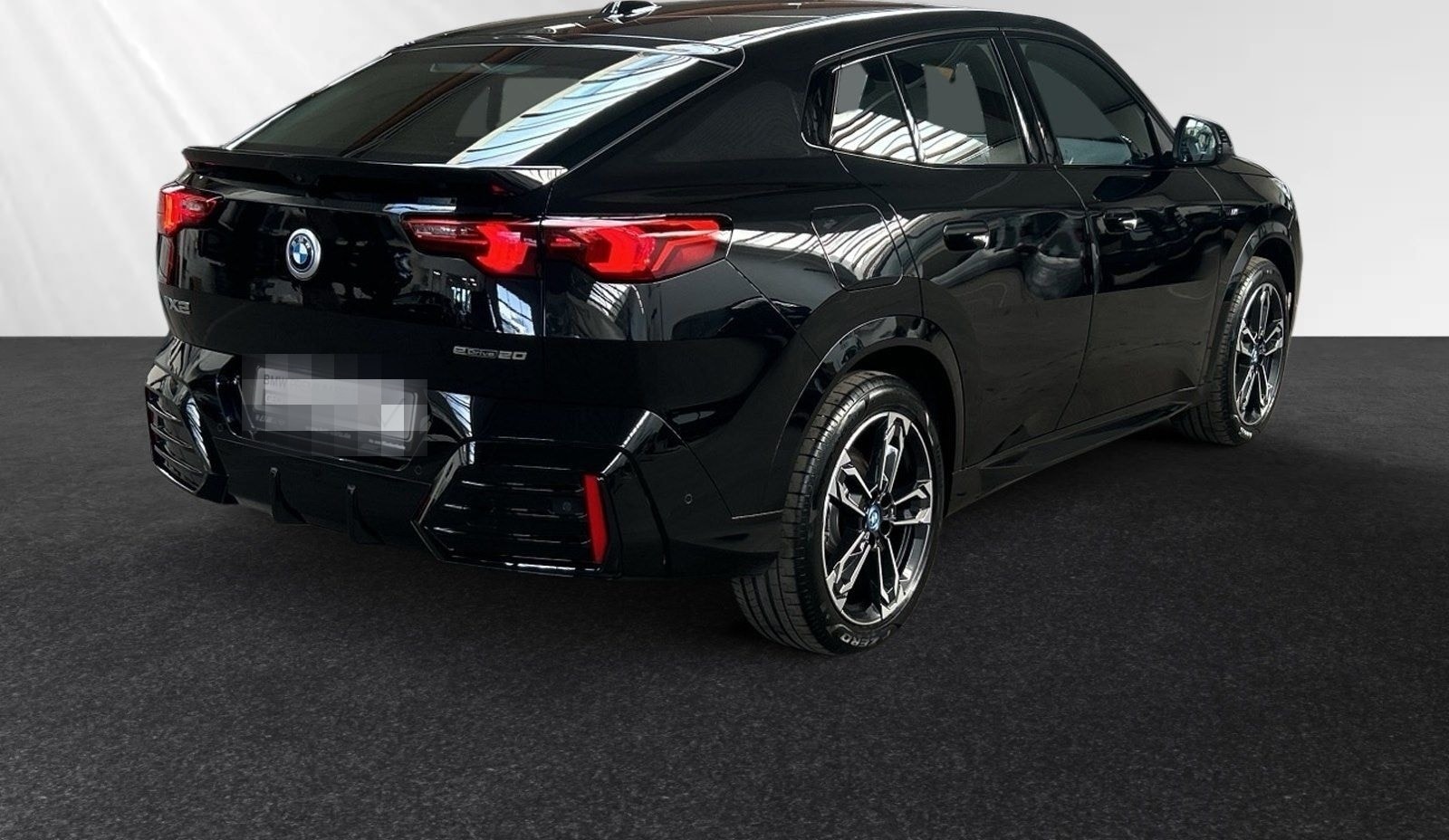 BMW iX2 eDrive20 M Sportpaket|Parkass.|19"LMR foto 3