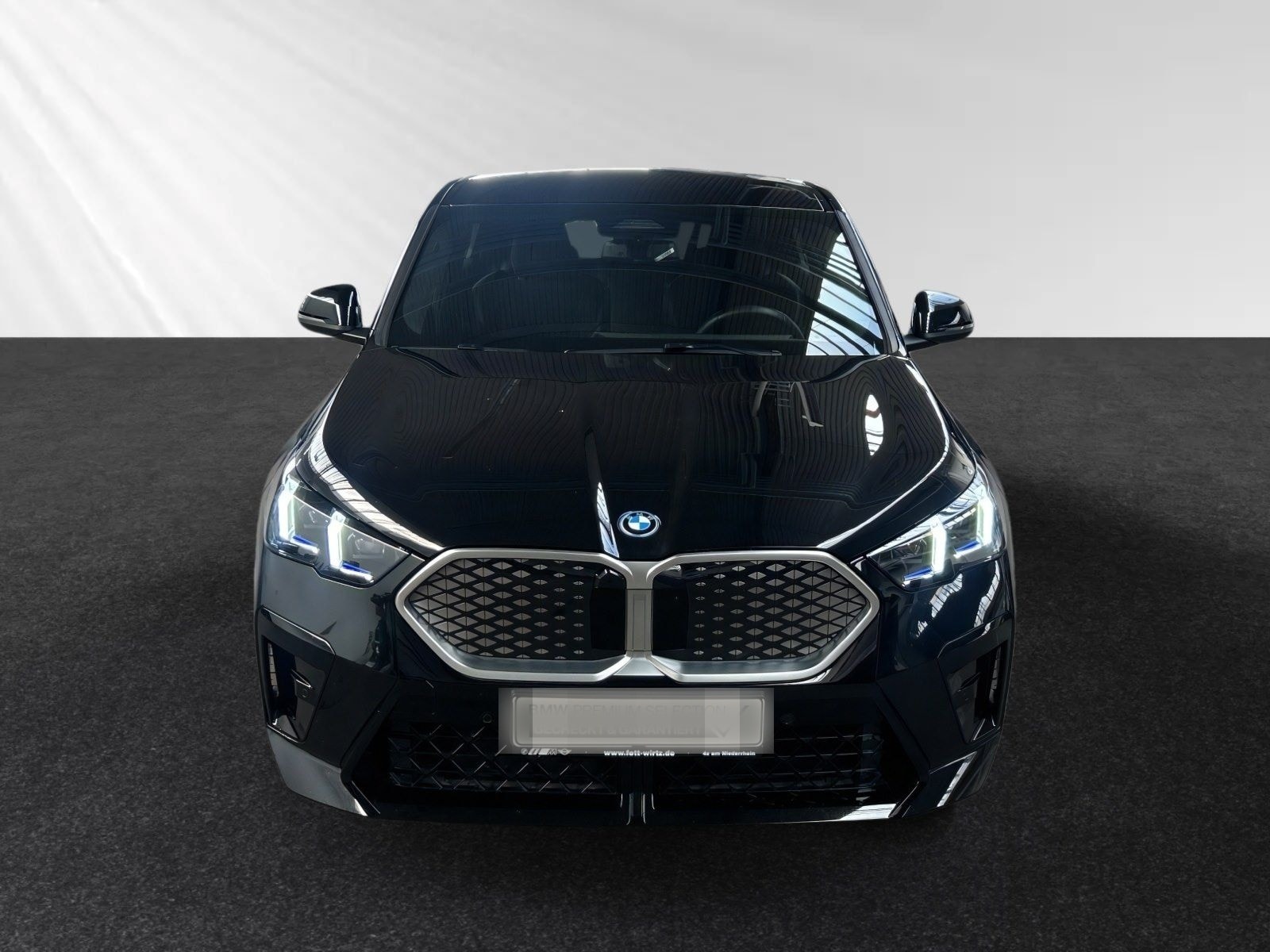 BMW iX2 eDrive20 M Sportpaket|Parkass.|19"LMR foto 7