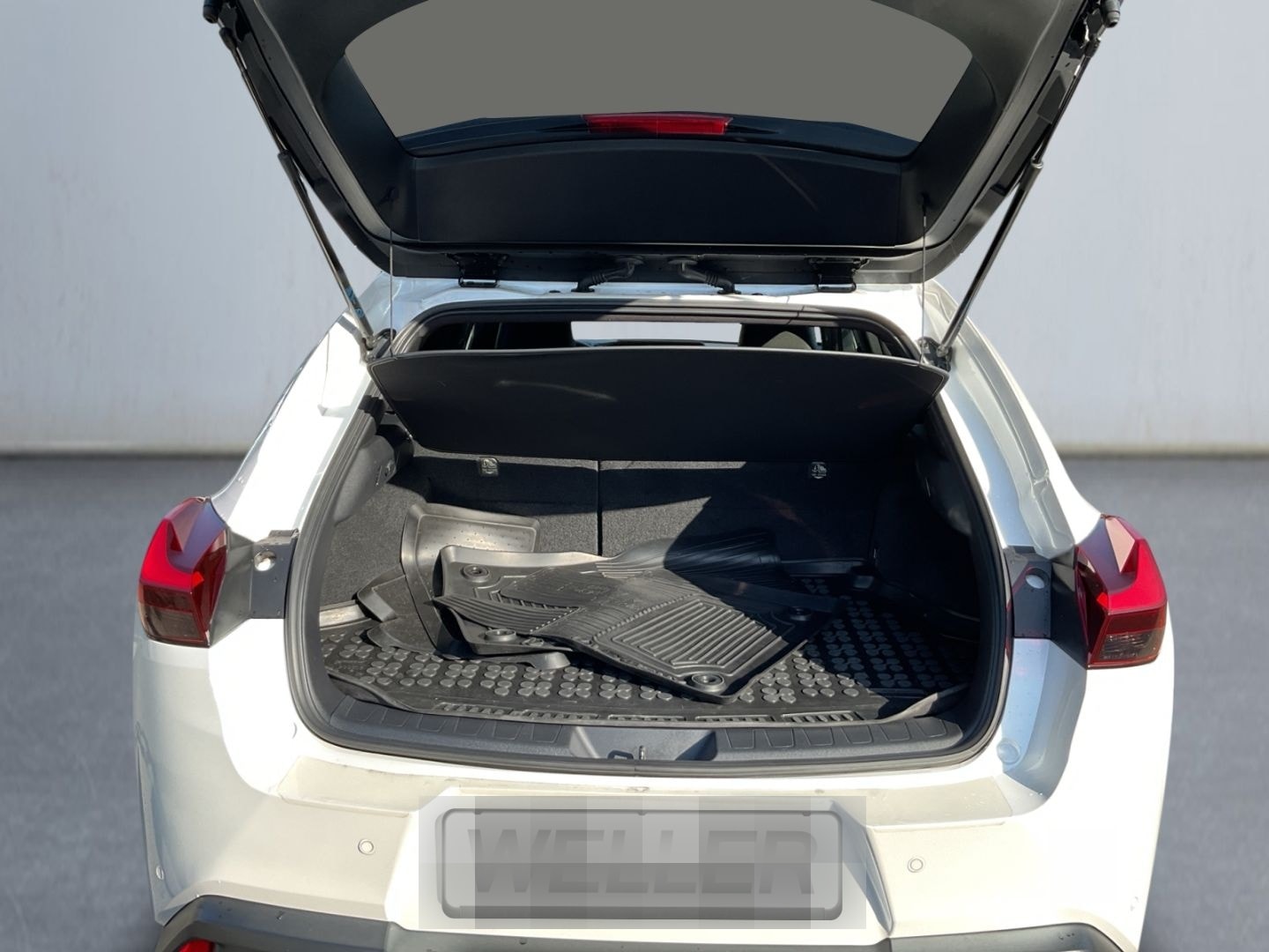 Lexus UX 250h Amazing Edition *Bi-LED*SHZ*CAM*CarPlay* foto 17