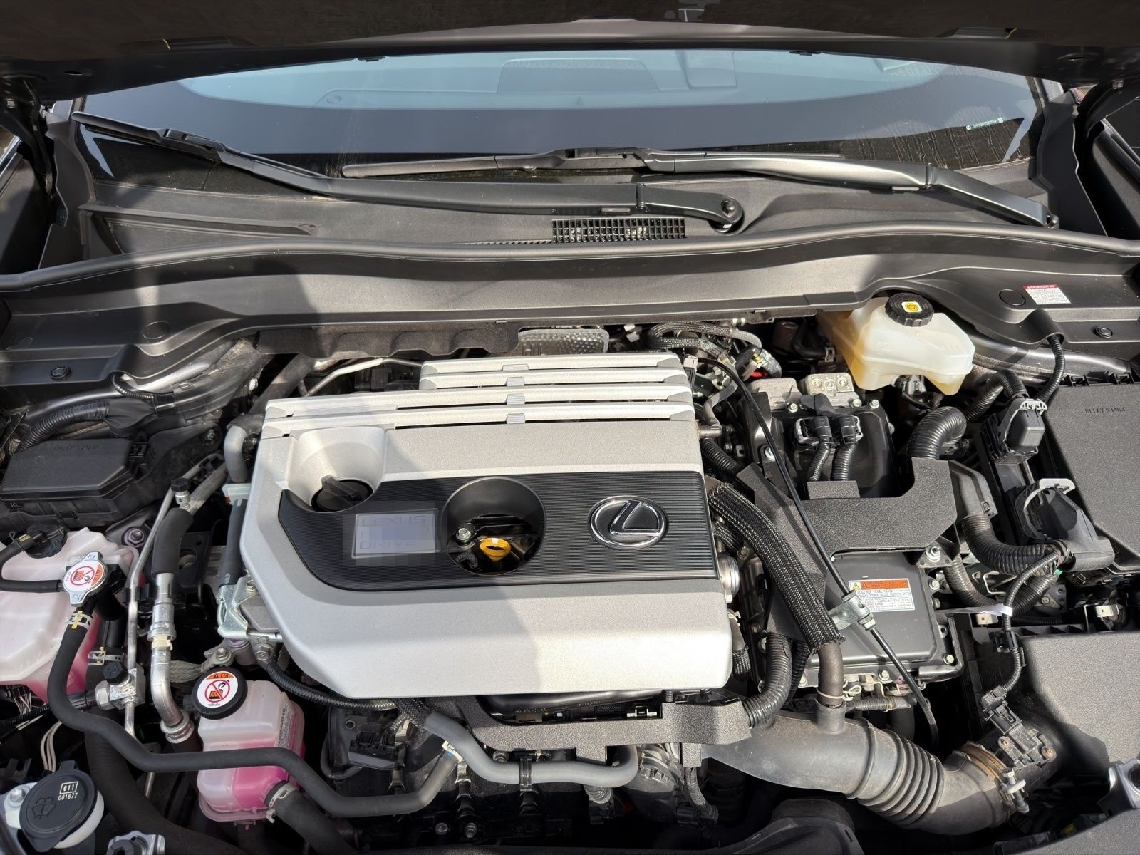 Lexus UX 250H*SCHECKHEFT*TOTW*LEDER* foto 20