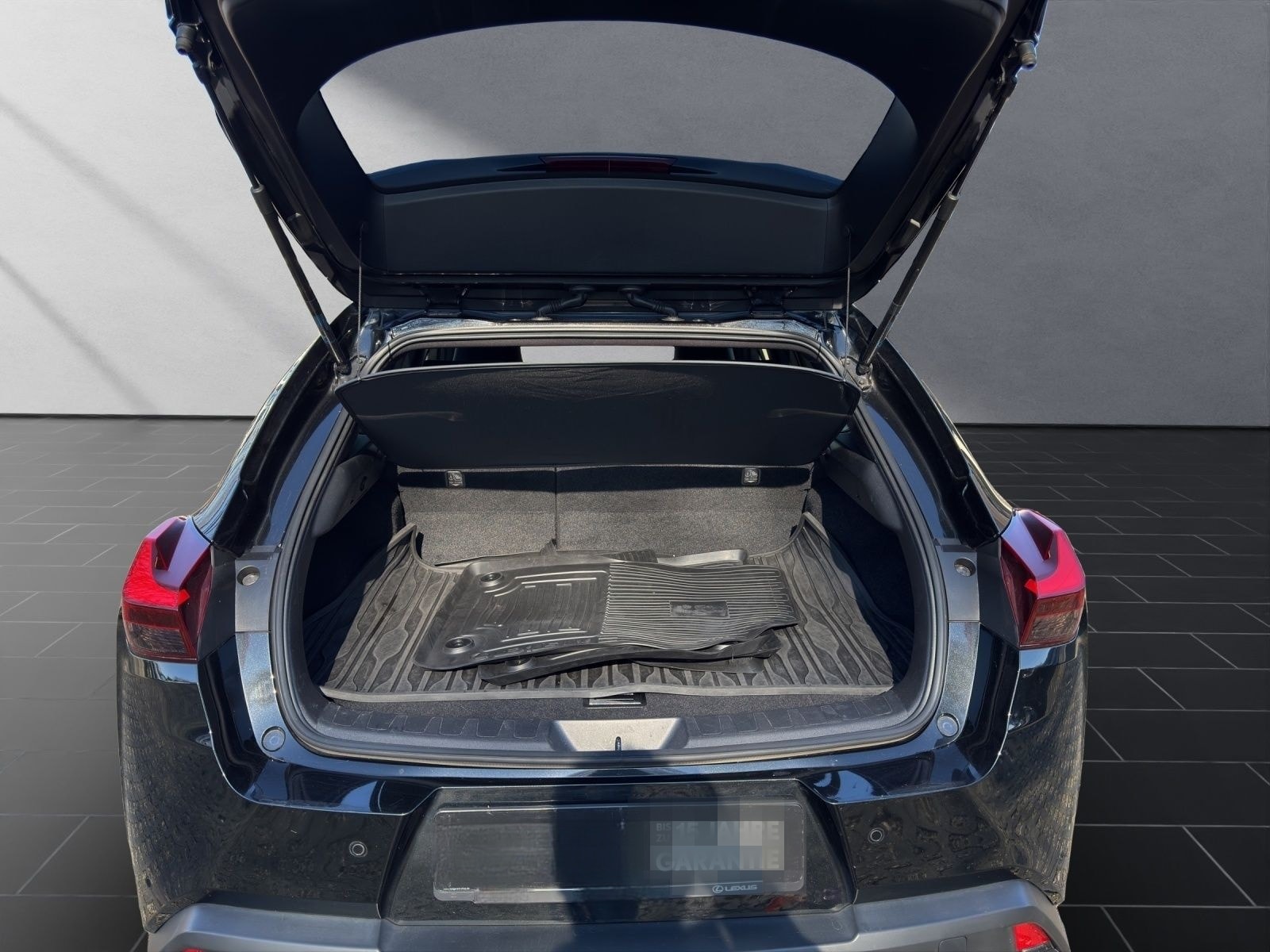 Lexus UX 250h Style SHZ Kamera Alu foto 19