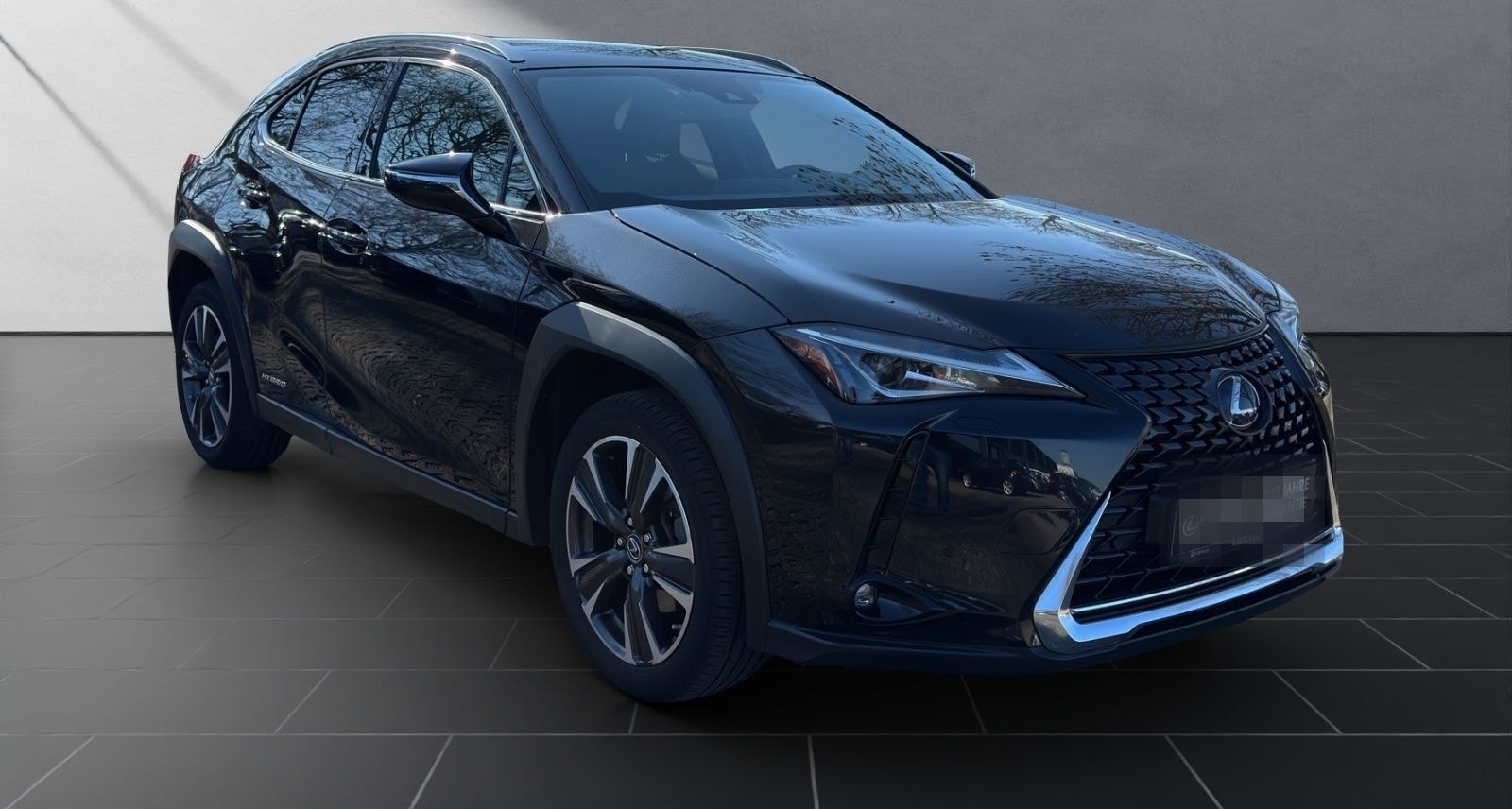 Lexus UX 250h Style SHZ Kamera Alu foto 7