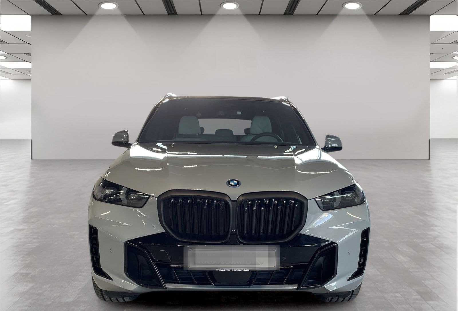 BMW X5 xDrive50e M Sport AHK Driv.Assist.Prof LED foto 8