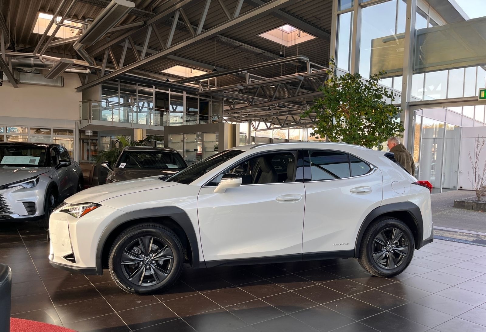 Lexus UX 250 h Launch Edition LED NAV SHZ RFK foto 4