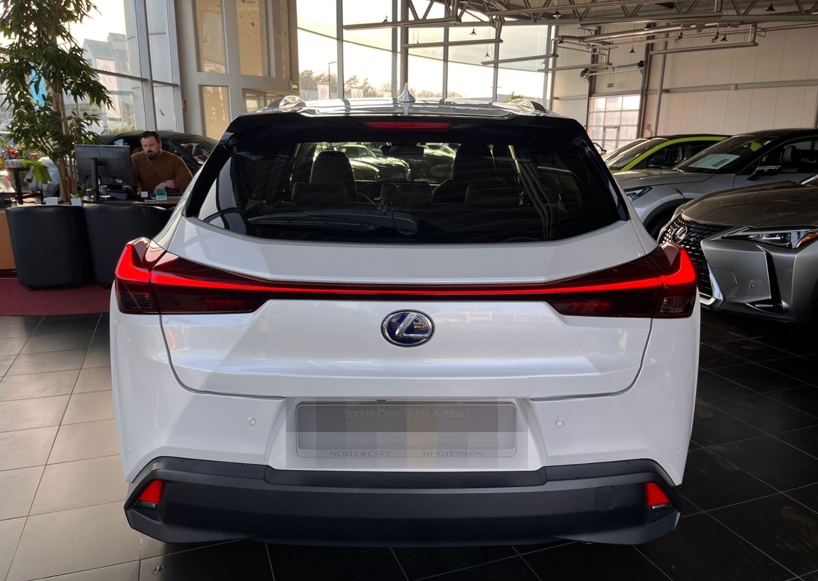 Lexus UX 250 h Launch Edition LED NAV SHZ RFK foto 6