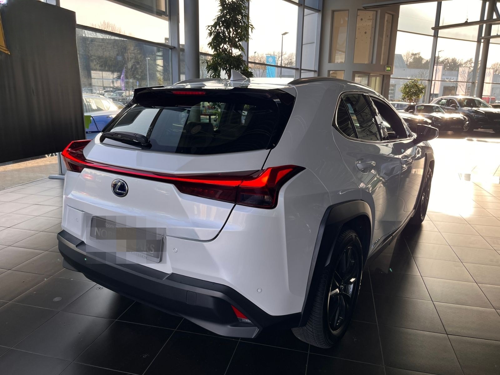 Lexus UX 250 h Launch Edition LED NAV SHZ RFK foto 7