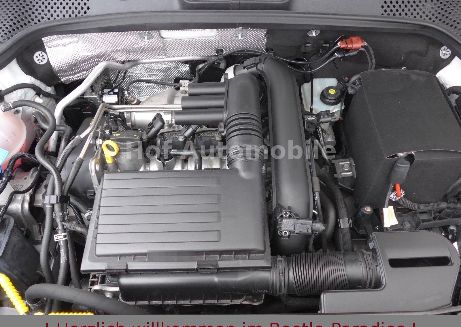 Volkswagen Beetle 1.4TSI DSG Sound Plus Kamera Xenon AppCon foto 23