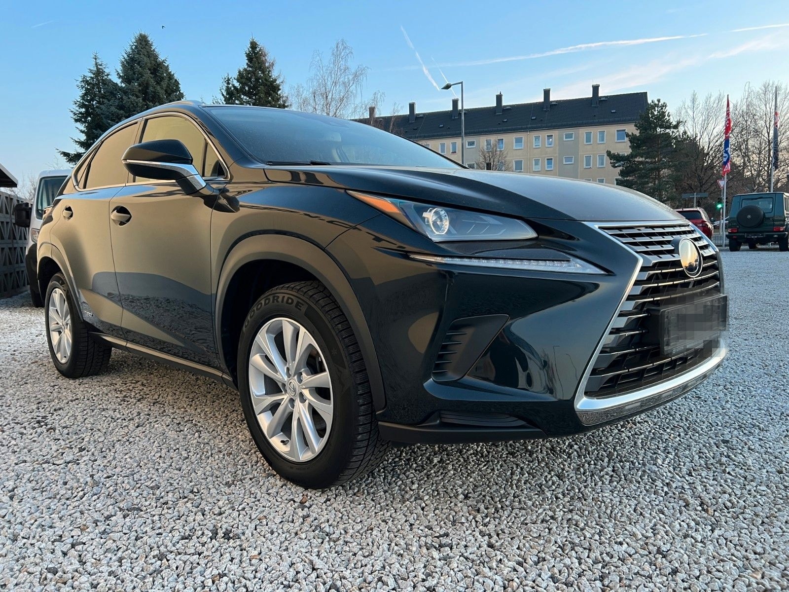 Lexus NX 300 300h Business Line foto 2