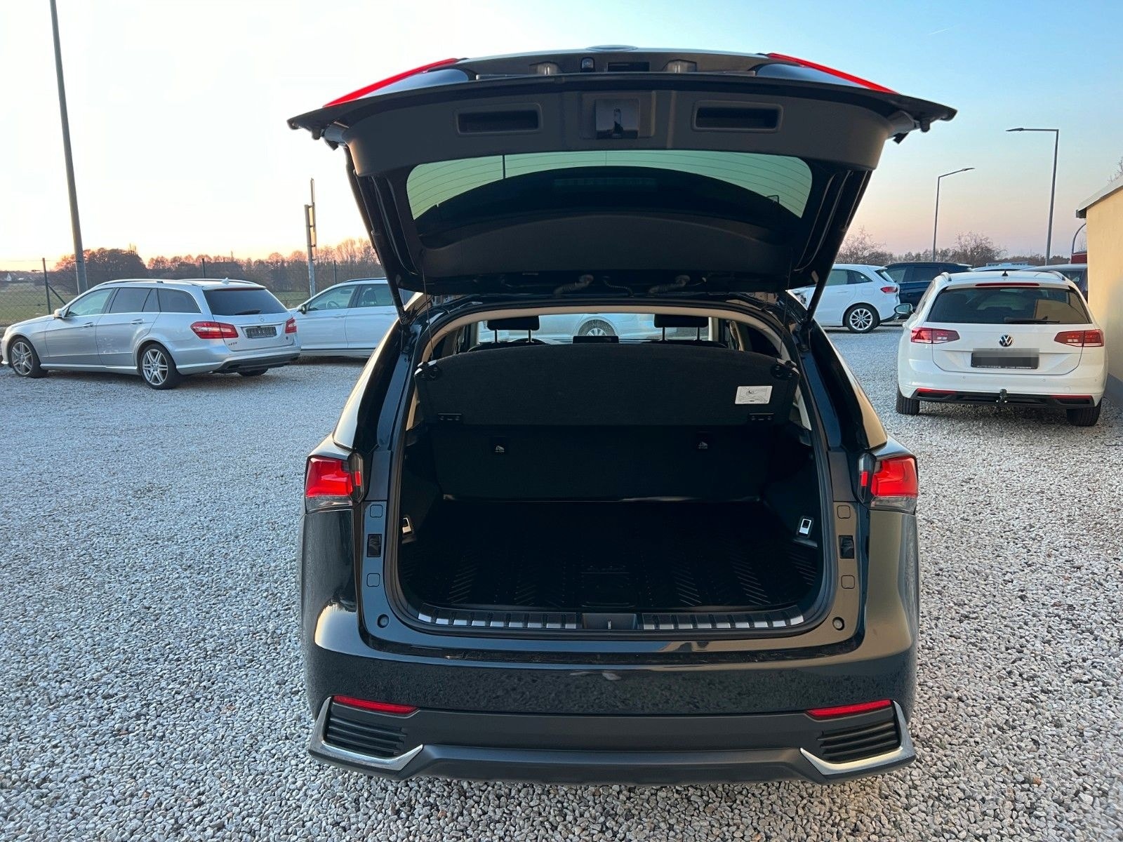 Lexus NX 300 300h Business Line foto 8