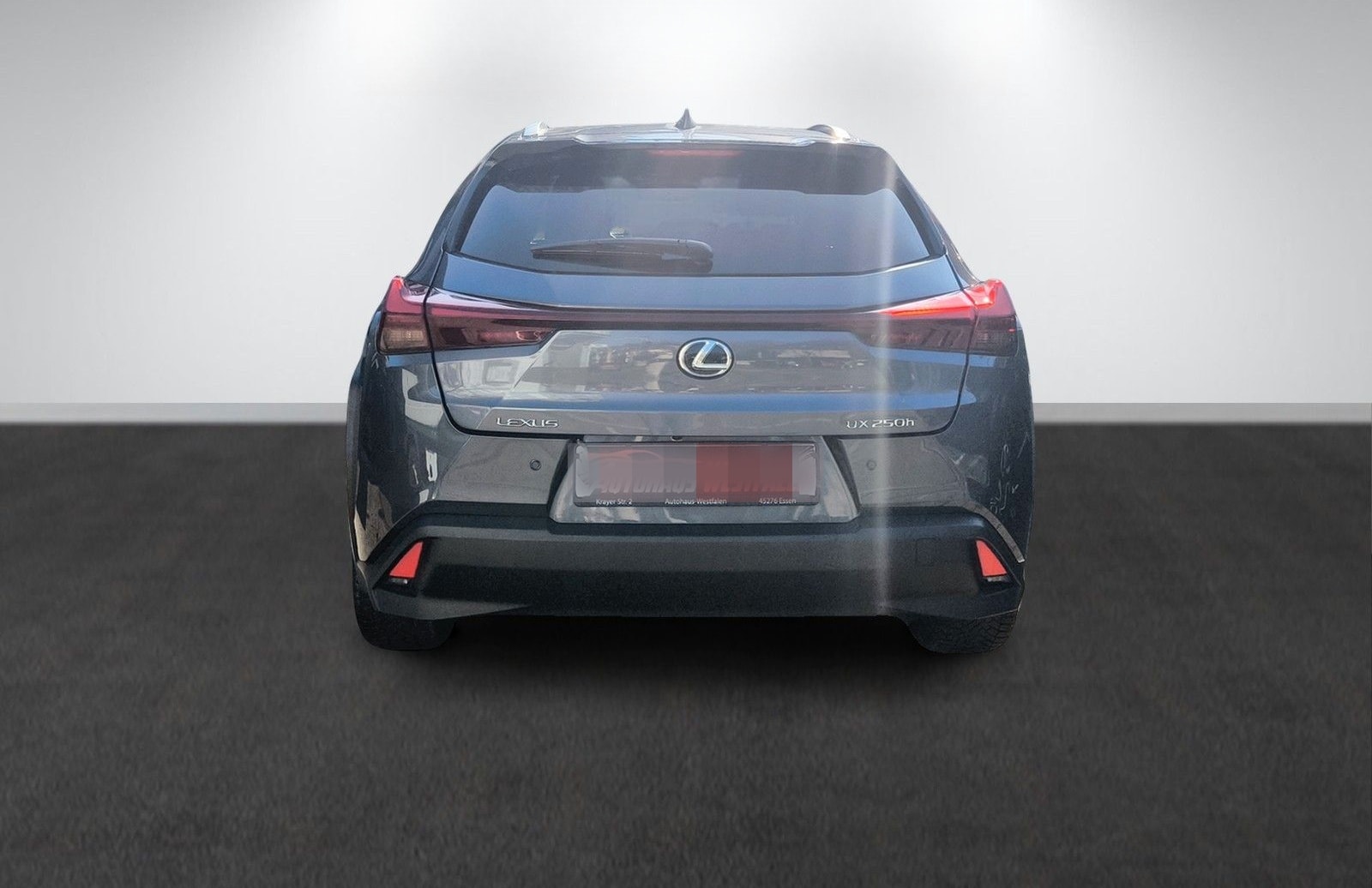 Lexus UX 250 h/Navi/Kamera/LED/1.Hand/Top foto 4