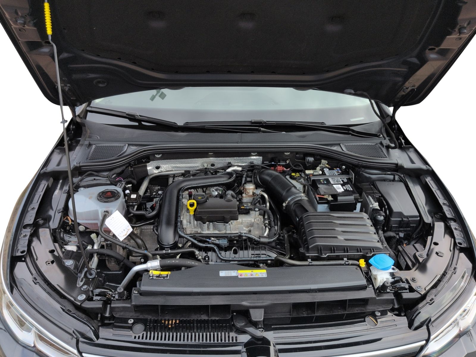 Volkswagen Golf VIII 1.0 eTSI DSG Life LED+ACC+APP+NAVI foto 20