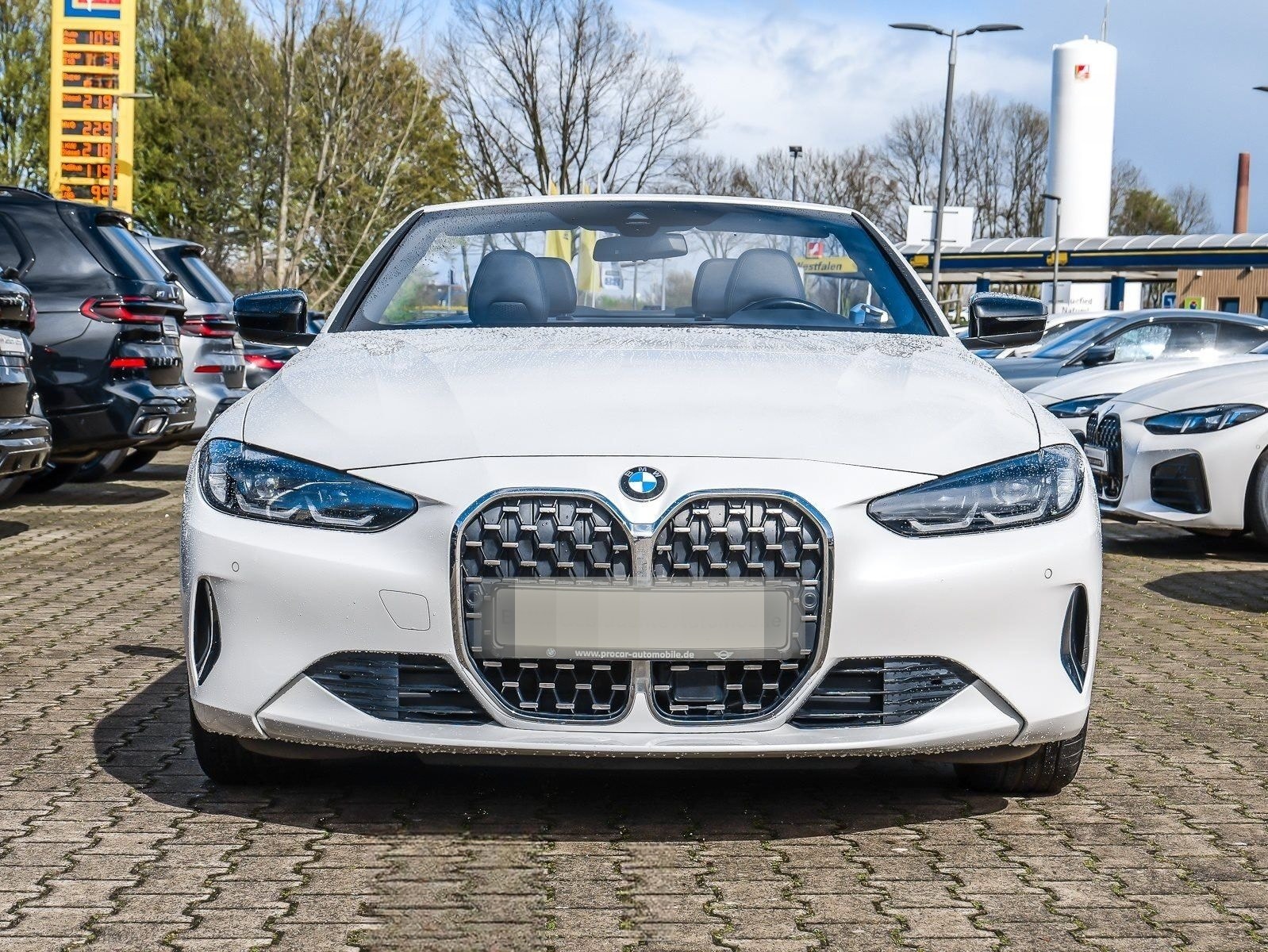 BMW 420d Cabrio DA ACC RFK LC Prof HK DAB foto 8