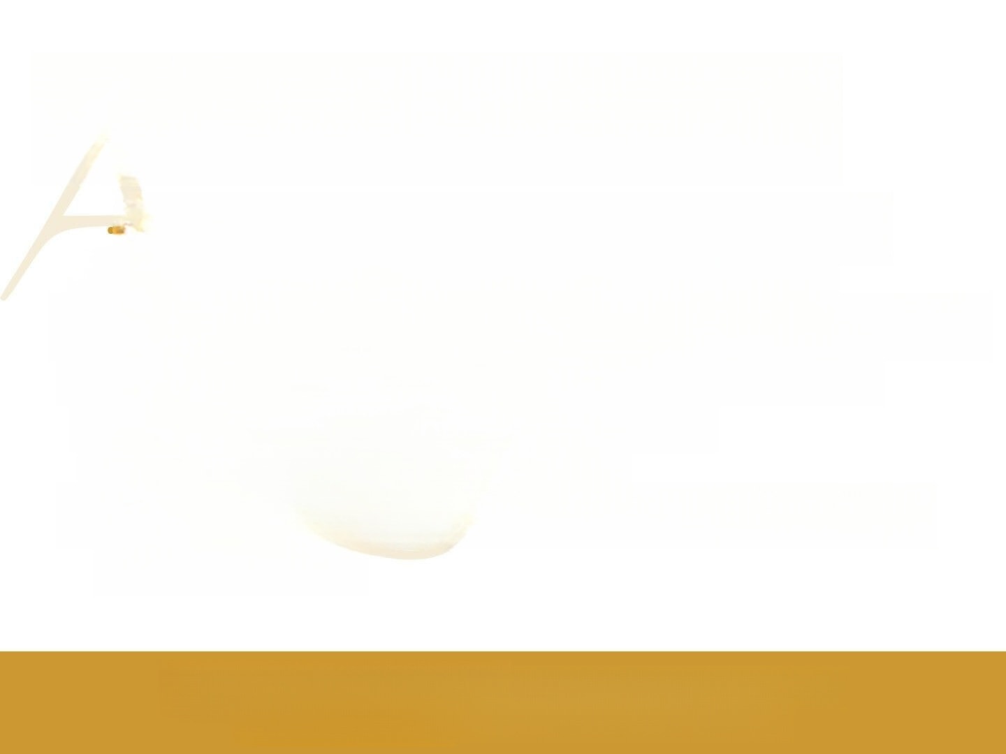 Audi RS6 4.0 TFSI quattro Laser Pano Air Suspension B foto 19