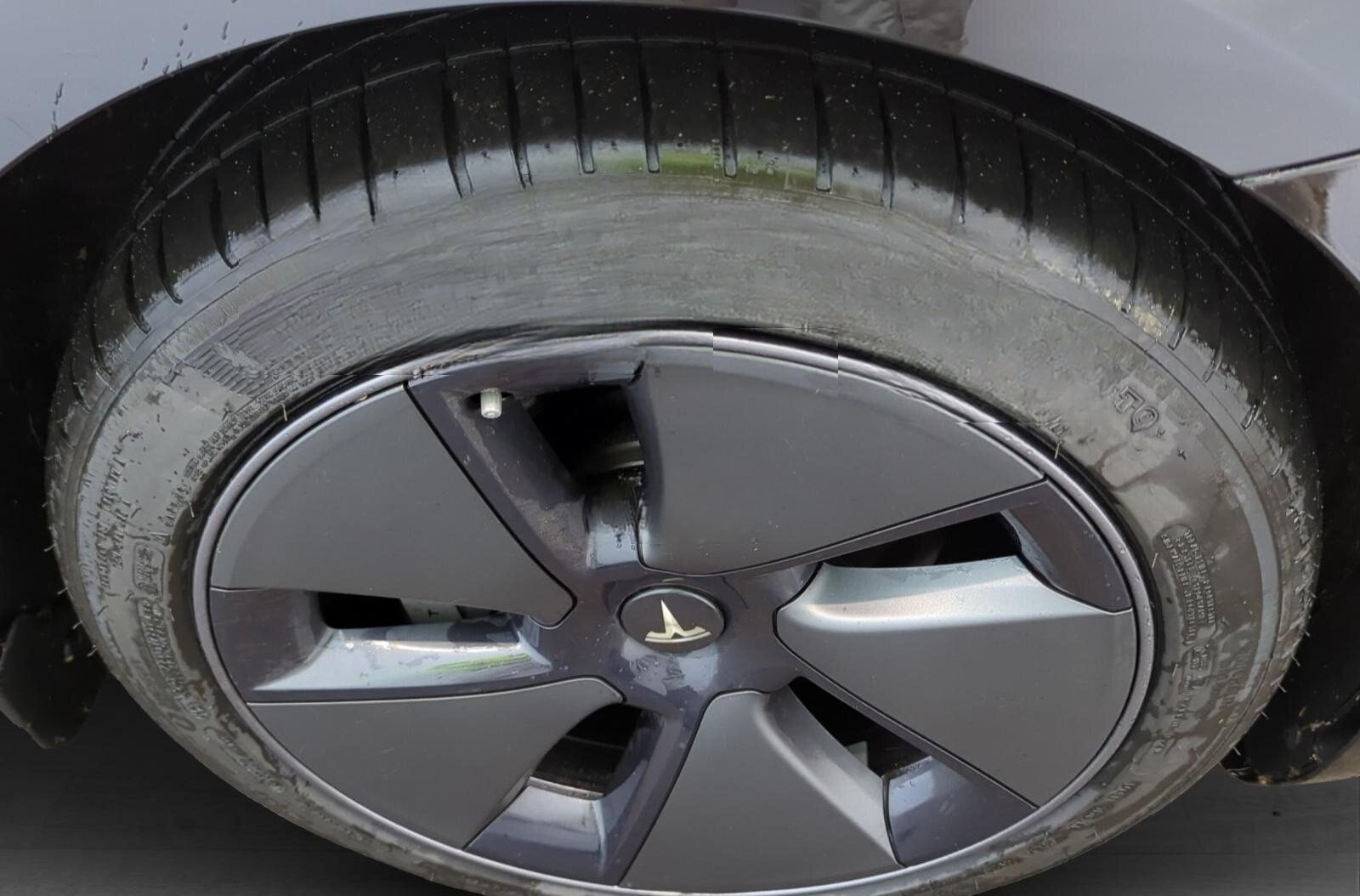 Tesla Model 3 Standard Range A.Pilot Pr.Int. Leder foto 15