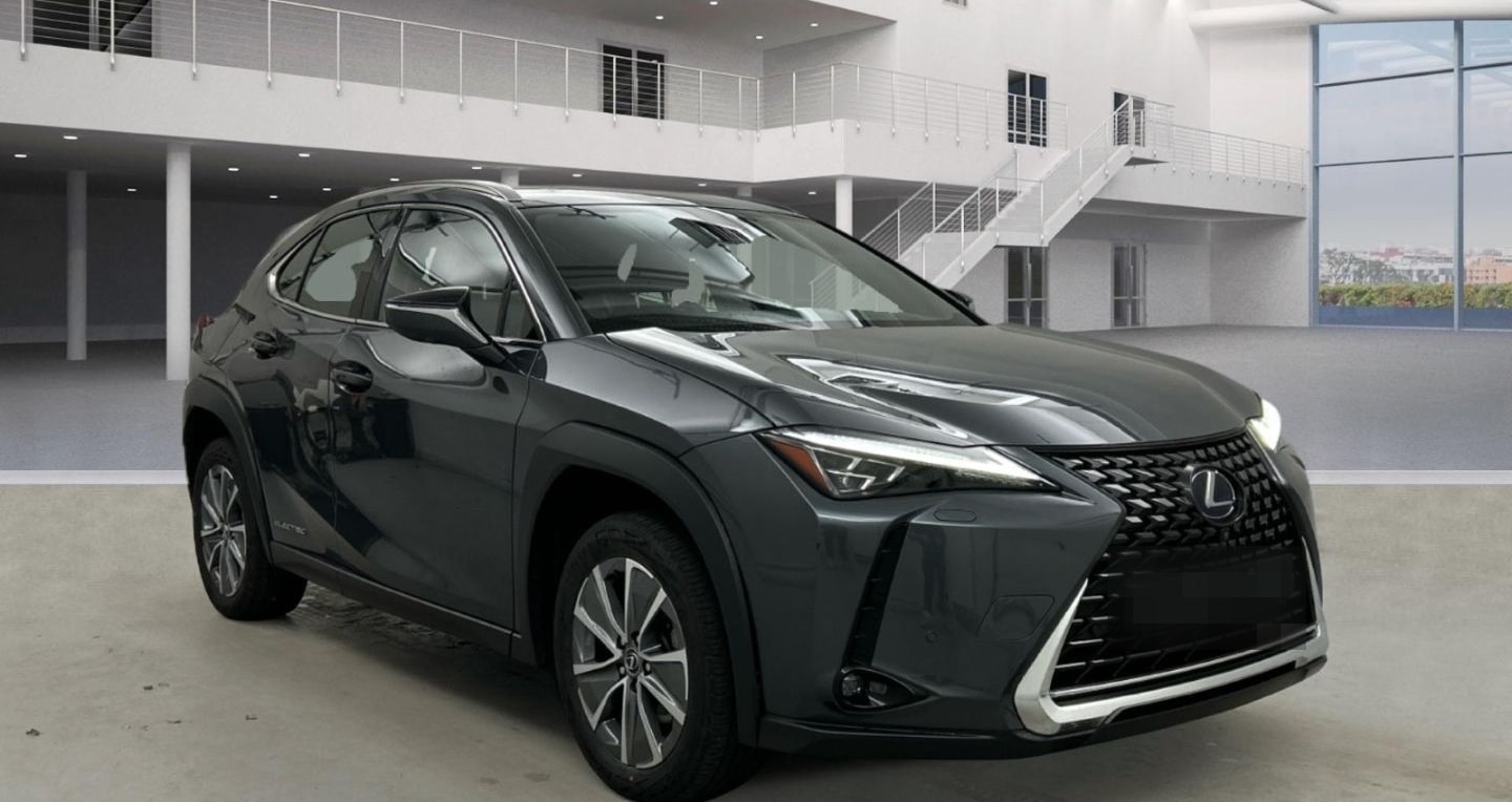 Lexus UX 300e Luxury Line 360 Grad Kamera Mark Levinso foto 2