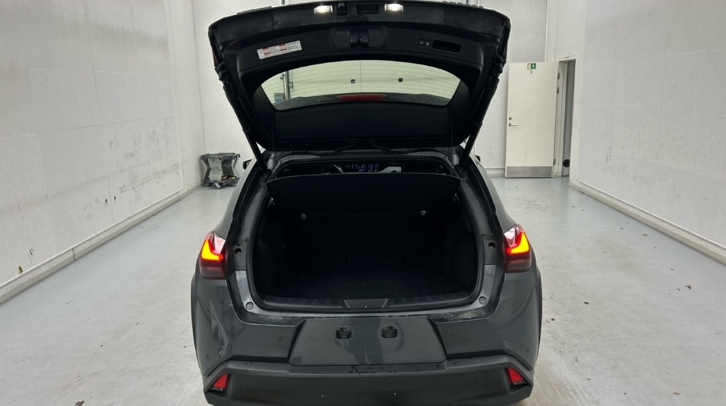 Lexus UX 300e Luxury Line 360 Grad Kamera Mark Levinso foto 19