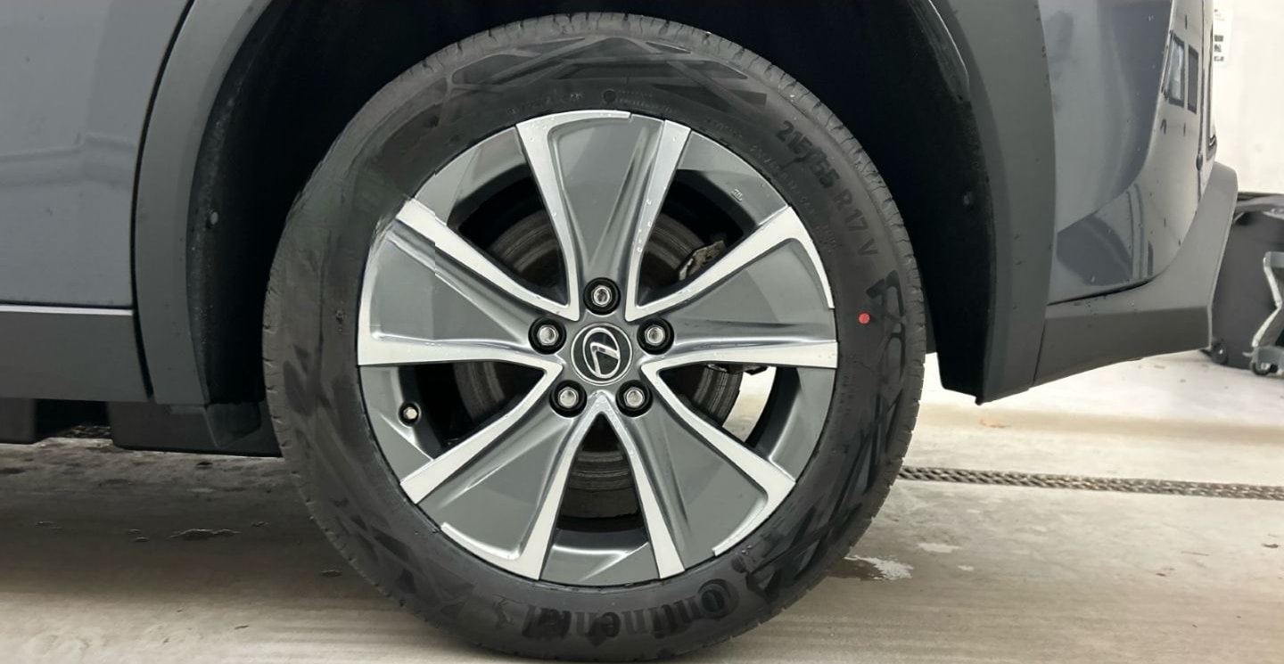 Lexus UX 300e Luxury Line 360 Grad Kamera Mark Levinso foto 25