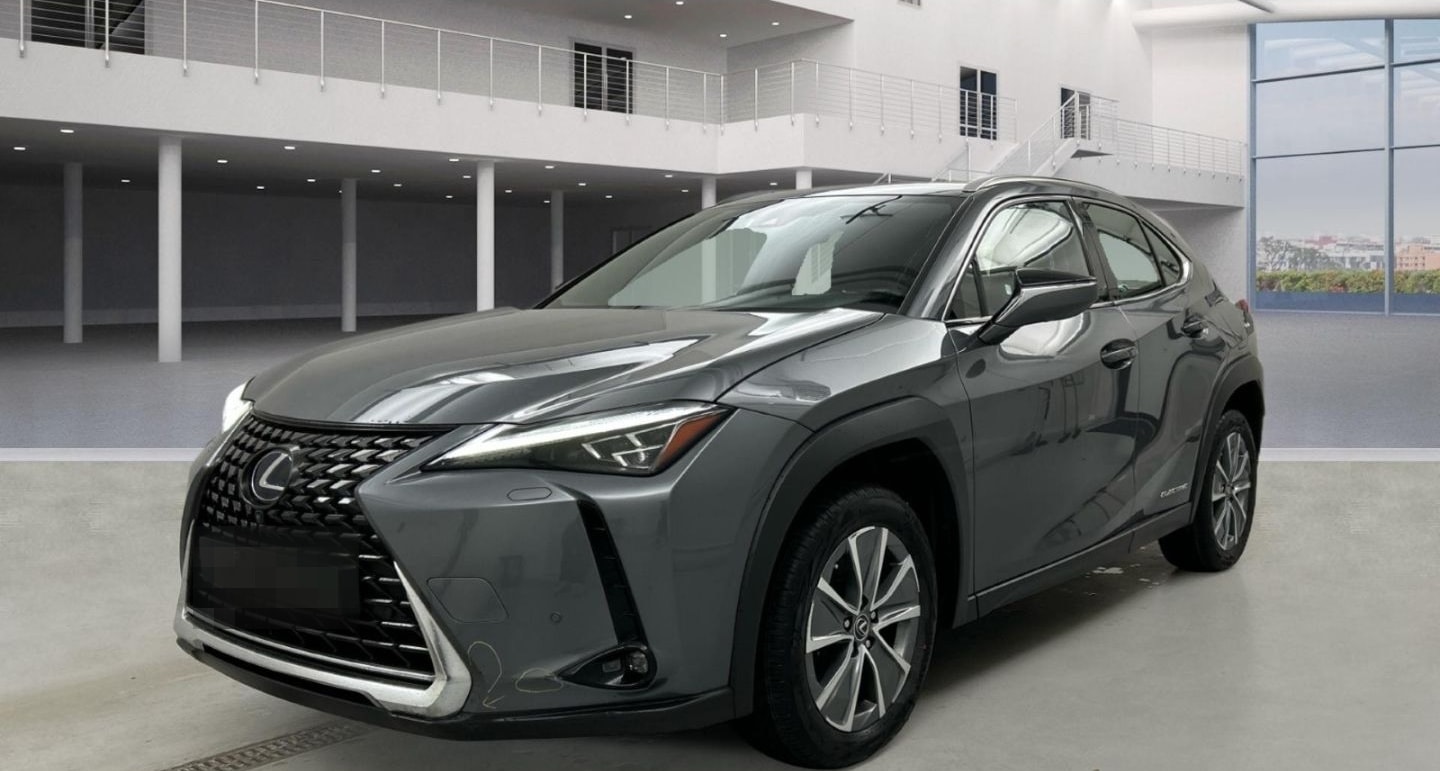 Lexus UX 300e Luxury Line 360 Grad Kamera Mark Levinso foto 1