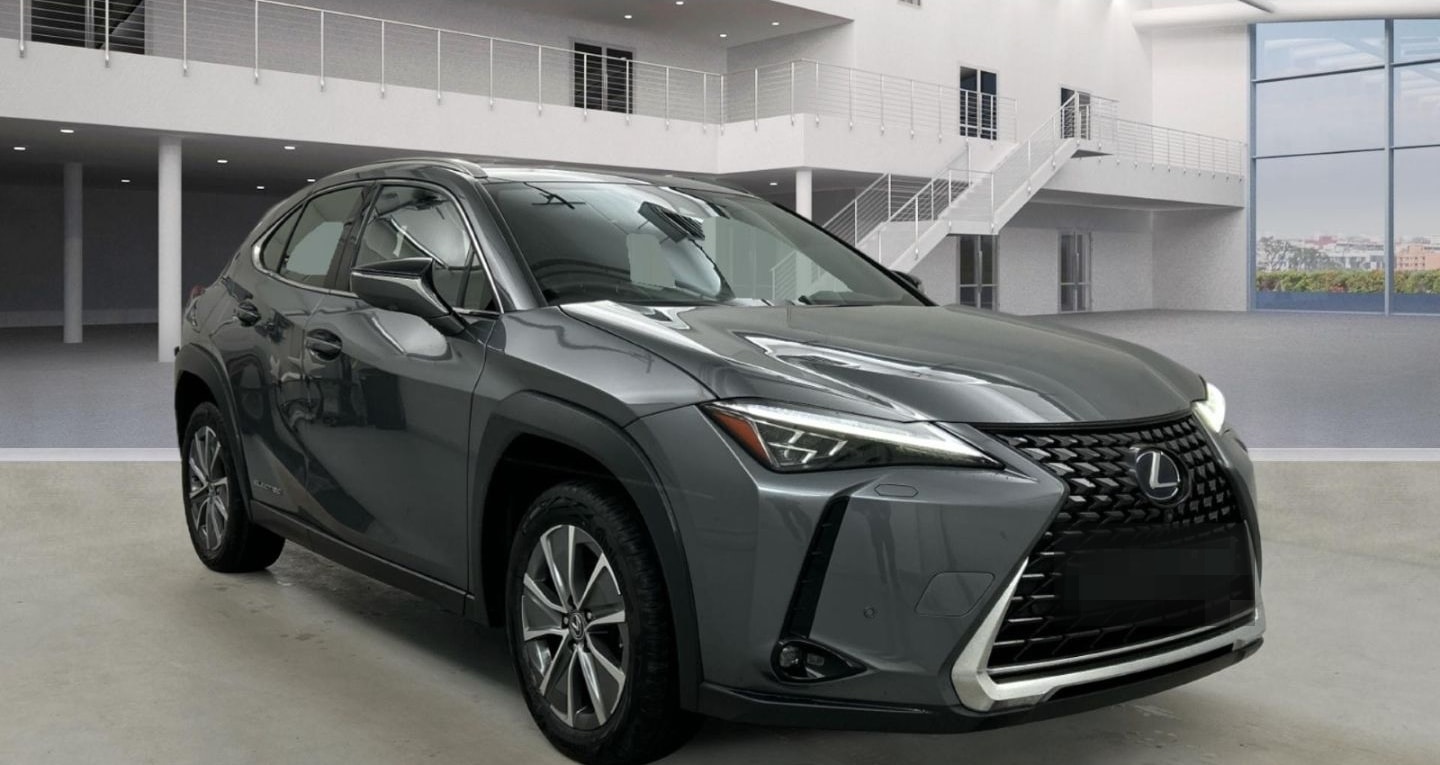 Lexus UX 300e Luxury Line 360 Grad Kamera Mark Levinso foto 2