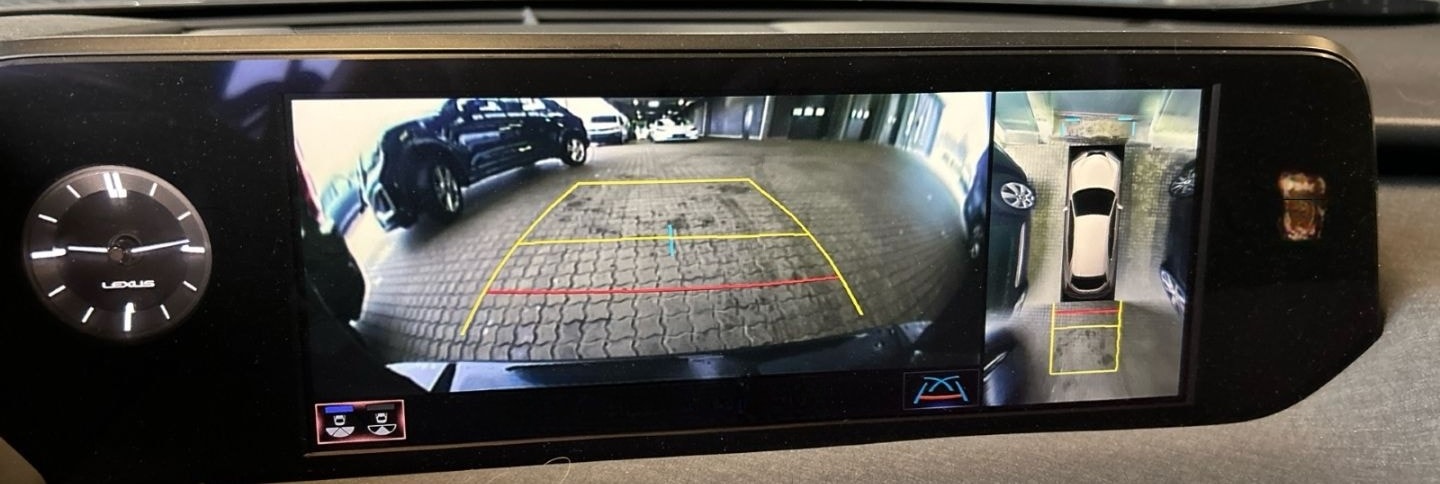 Lexus UX 300e Luxury Line 360 Grad Kamera Mark Levinso foto 13