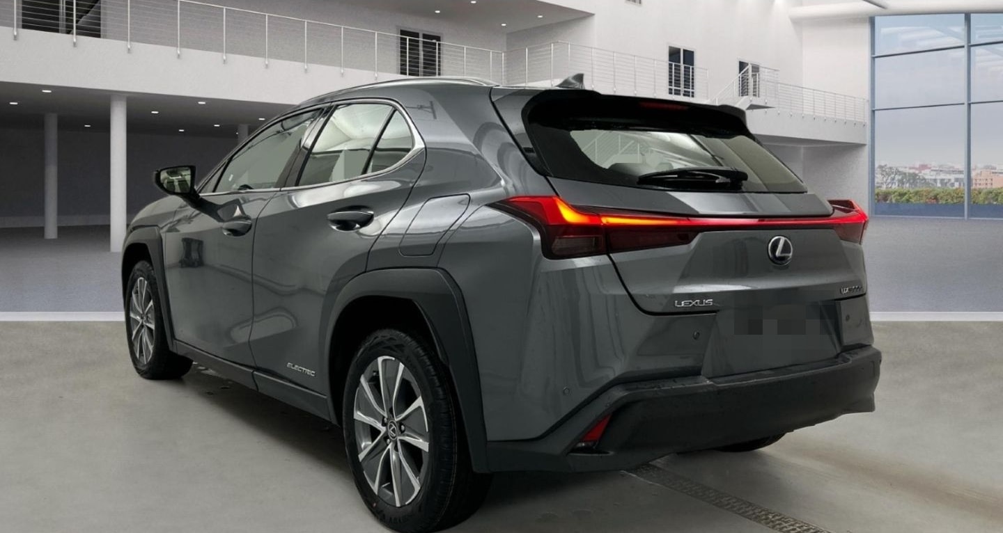 Lexus UX 300e Luxury Line 360 Grad Kamera Mark Levinso foto 4